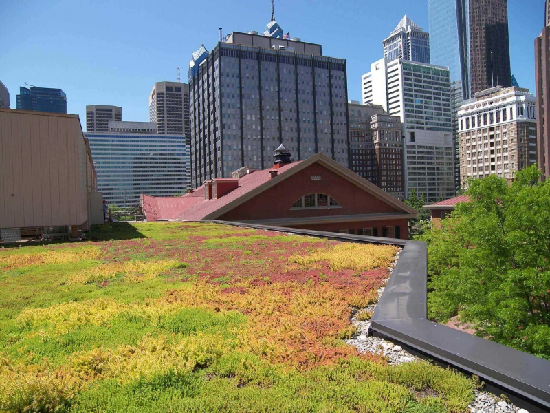 paysagiste-ARTIGNOSC SUR VERDON-min_green-roof-portfolio-4